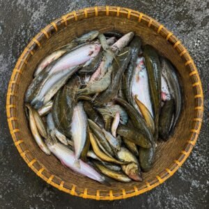 পাঁচমিশালি মাছ ৫ কেজি