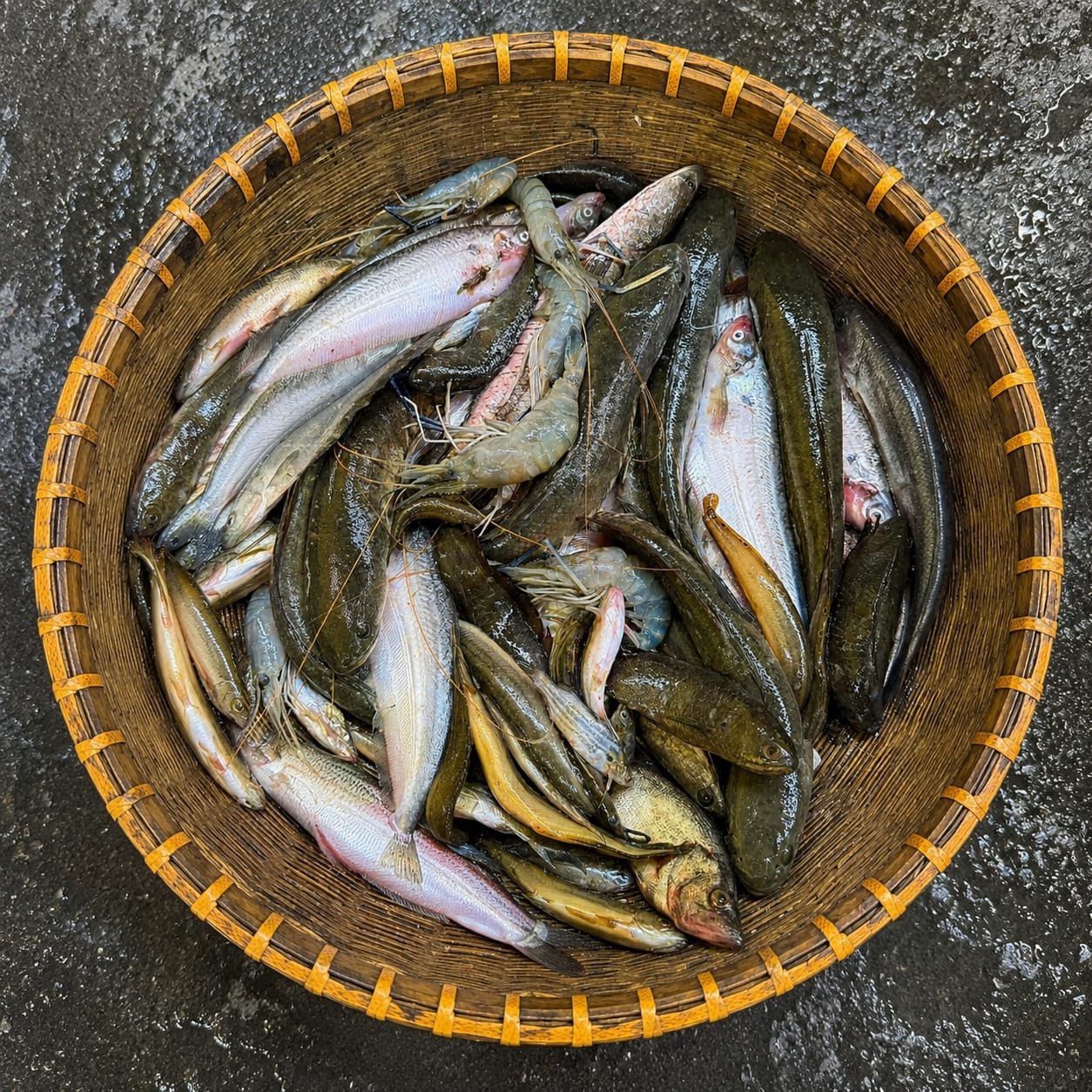 পাঁচমিশালি মাছ ৫ কেজি