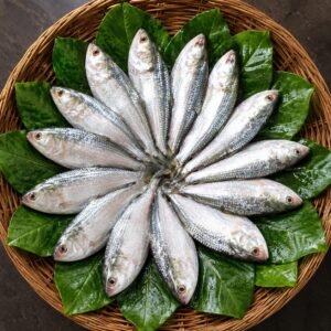 চান্দা ইলিশ ১৪০০-১৫০০ গ্রাম (১ কেজি)
