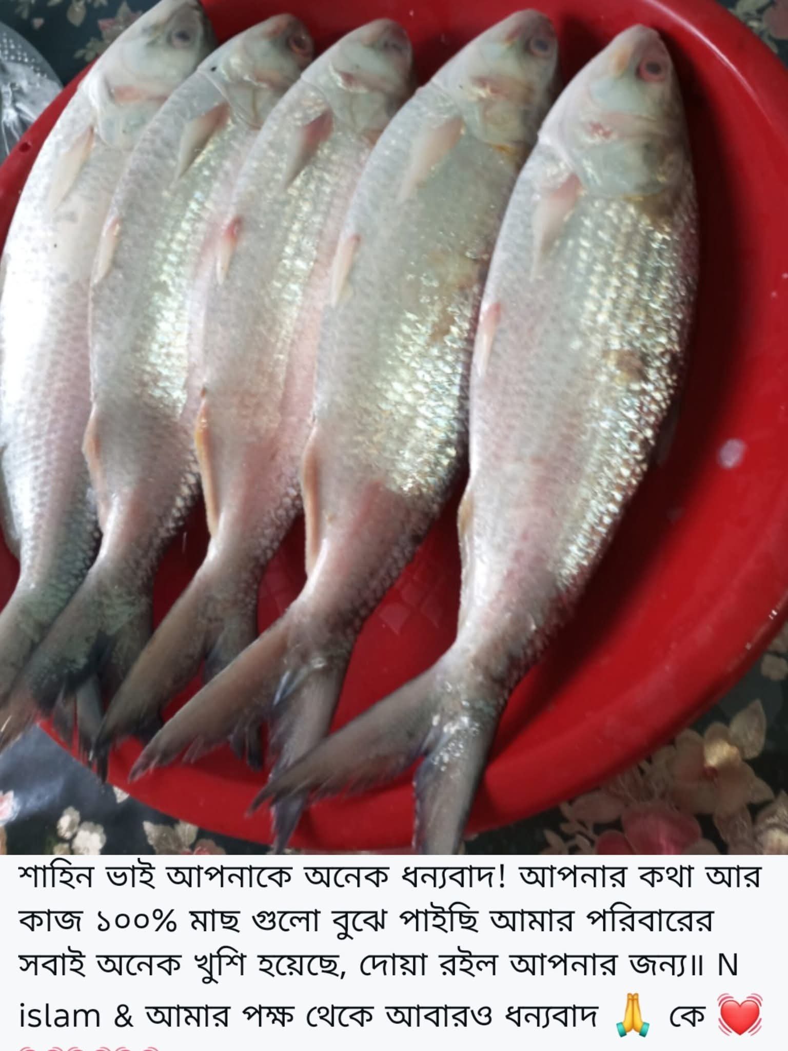 WhatsApp Image 2026-07-23 at 12.57.48 AM